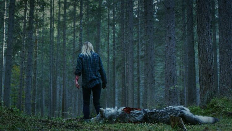 Produktbild: Survive