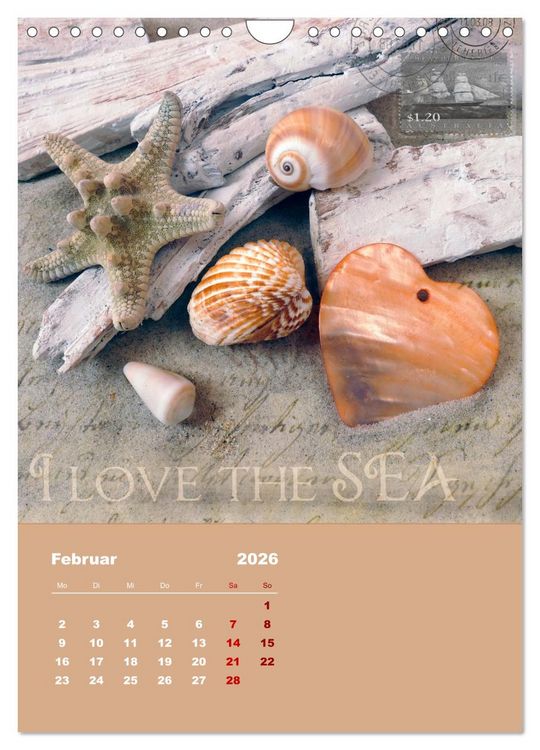 Produktbild: Geschenke vom Meer (Wandkalender 2026 DIN A4 hoch), CALVENDO Monatskalender