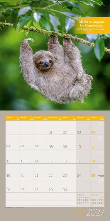Produktbild: Keep Smiling Kalender 2027 - 30x30 - Art12