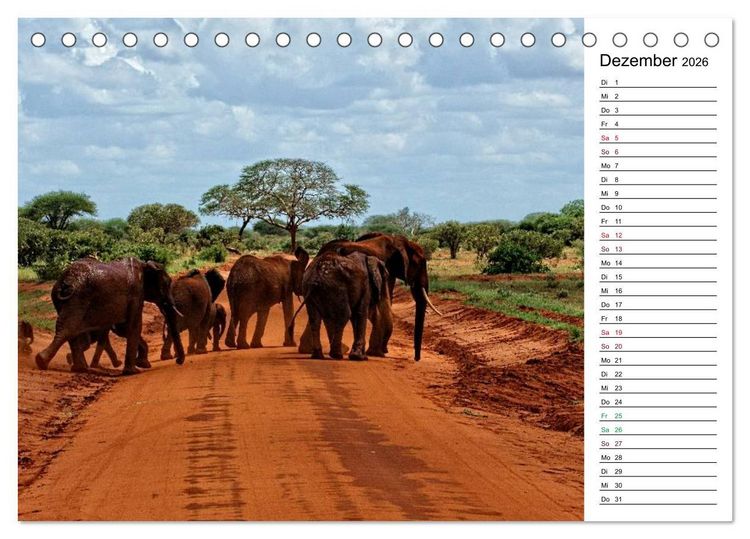 Produktbild: Elefanten . Wildlife in Kenia (Tischkalender 2026 DIN A5 quer), CALVENDO Monatskalender