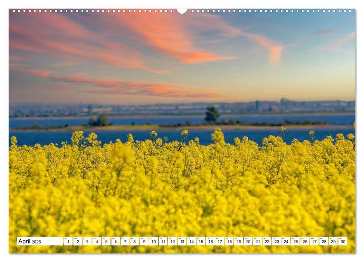 Produktbild: Naturparadies Zierow - Ostsee Idylle pur in der Wismarer Bucht (hochwertiger Premium Wandkalender 2026 DIN A2 quer), Kunstdruck in Hochglanz