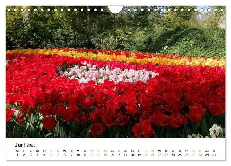 Produktbild: Auf Tour im Land der Tulpen (Wandkalender 2026 DIN A4 quer), CALVENDO Monatskalender