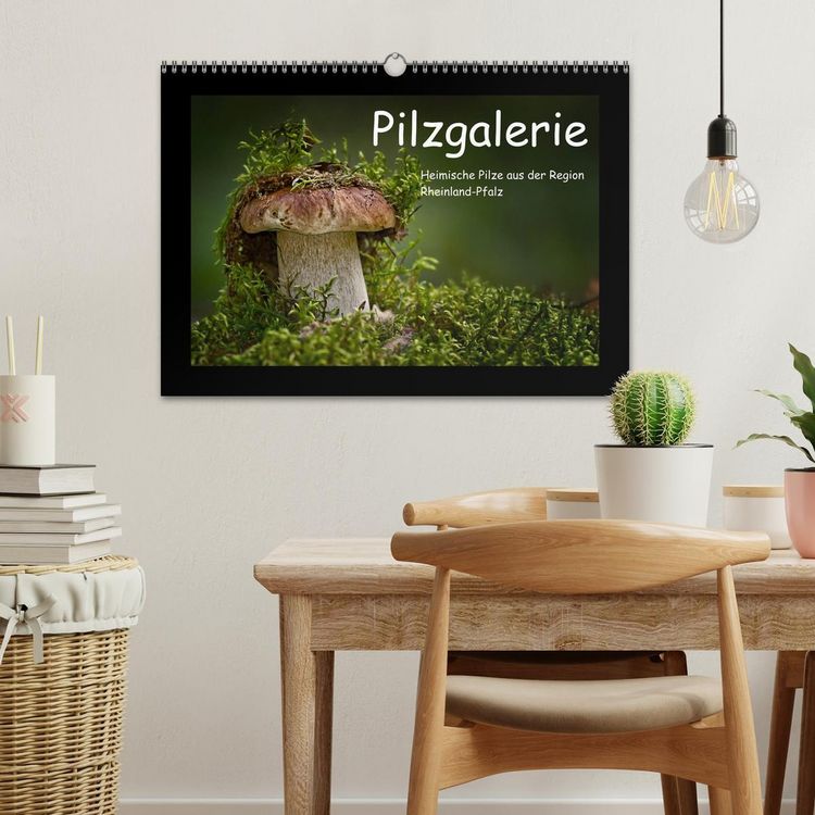 Produktbild: Pilzgalerie - Heimische Pilze aus der Region Rheinland-Pfalz (Wandkalender 2026 DIN A3 quer), CALVENDO Monatskalender