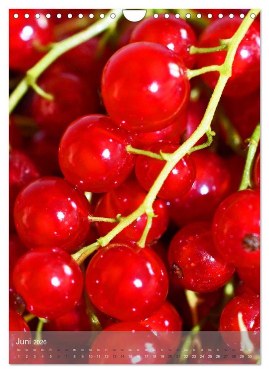 Produktbild: Blaubeeren, Himbeeren & Co - Makrofotografie in der K&uuml;che (Wandkalender 2026 DIN A4 hoch), CALVENDO Monatskalender