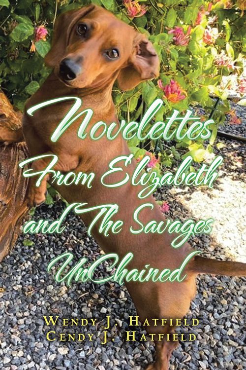Produktbild: Novelettes from Elizabeth and the Savages Unchained