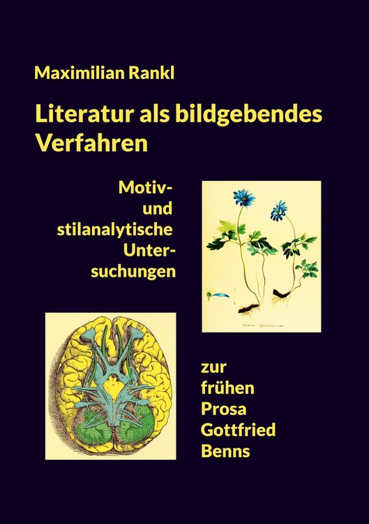 Produktbild: Literatur als bildgebendes Verfahren