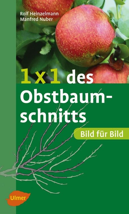 Produktbild: 1 x 1 des Obstbaumschnitts