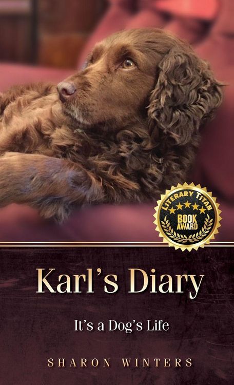 Produktbild: Karl's Diary