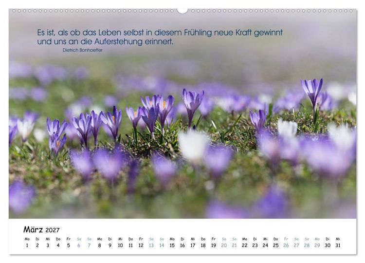 Produktbild: Christliche Bildpoesie 2027 (Wandkalender 2027 DIN A2 quer), CALVENDO Monatskalender
