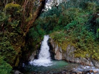 Produktbild: CALVENDO Puzzle Regenwald bei Aguas Calientes, Peru | 1000 Teile Lege-Gr&ouml;&szlig;e 64x48cm Foto-Puzzle f&uuml;r gl&uuml;ckliche Stunden
