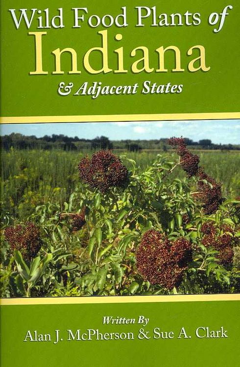 Produktbild: Wild Food Plants of Indiana and Adjacent States