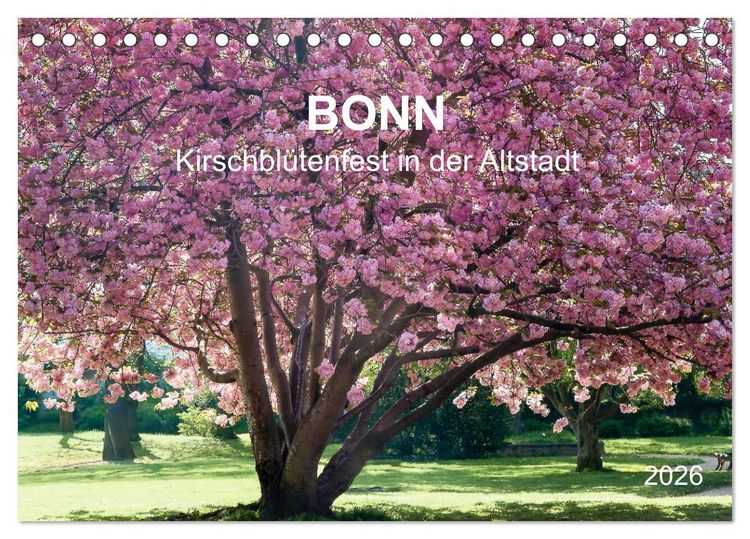 Produktbild: Bonn - Kirschbl&uuml;tenfest in der Altstadt (Tischkalender 2026 DIN A5 quer), CALVENDO Monatskalender