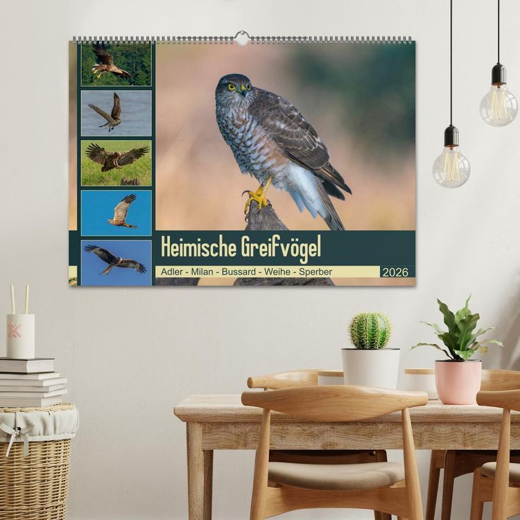 Produktbild: Heimische GREIFV&Ouml;GEL Adler Milan Bussard Weihe Sperber (Wandkalender 2026 DIN A2 quer), CALVENDO Monatskalender