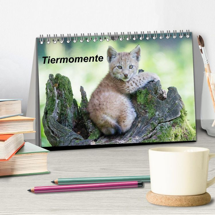 Produktbild: Tiermomente (Tischkalender 2026 DIN A5 quer), CALVENDO Monatskalender