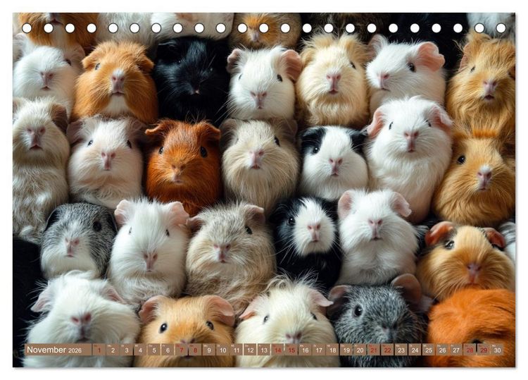 Produktbild: Kuschelblicke (Tischkalender 2026 DIN A5 quer), CALVENDO Monatskalender
