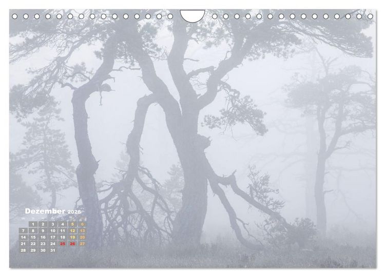 Produktbild: Naturschauspiele in Schottland (Wandkalender 2026 DIN A4 quer), CALVENDO Monatskalender