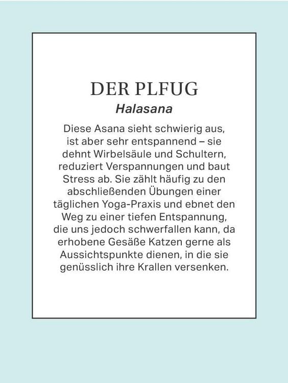 Produktbild: Yoga mit Katze