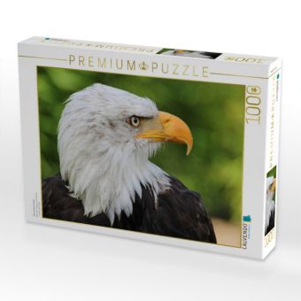 Produktbild: CALVENDO Puzzle Weisskopfseeadler | 1000 Teile Lege-Gr&ouml;&szlig;e 64x48cm Foto-Puzzle f&uuml;r gl&uuml;ckliche Stunden
