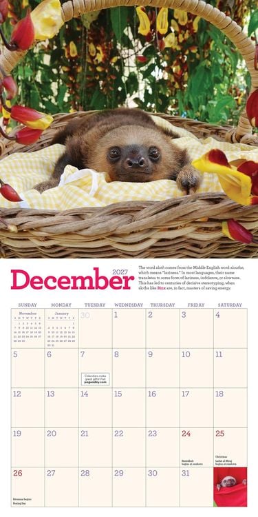 Produktbild: Original Sloths Mini Wall Calendar 2027
