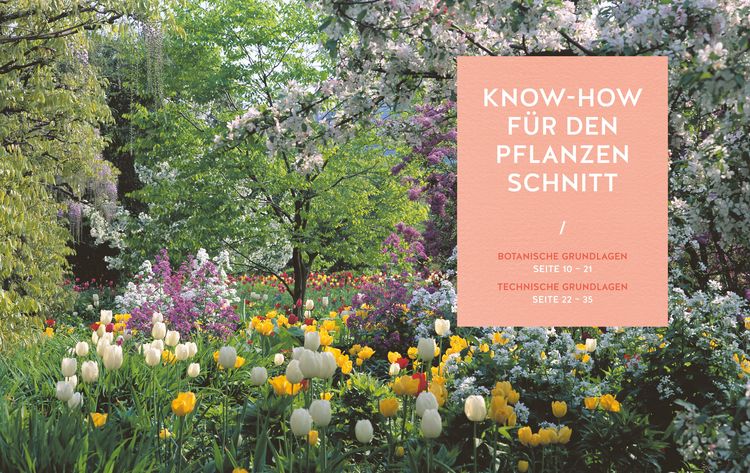 Produktbild: Pflanzenschnitt