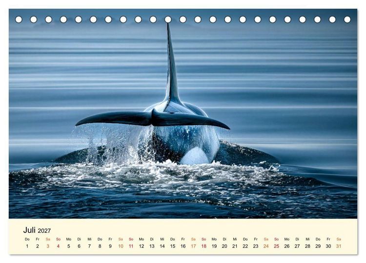 Produktbild: Orcas - Wilde Eleganz des Meeres (Tischkalender 2027 DIN A5 quer), CALVENDO Monatskalender