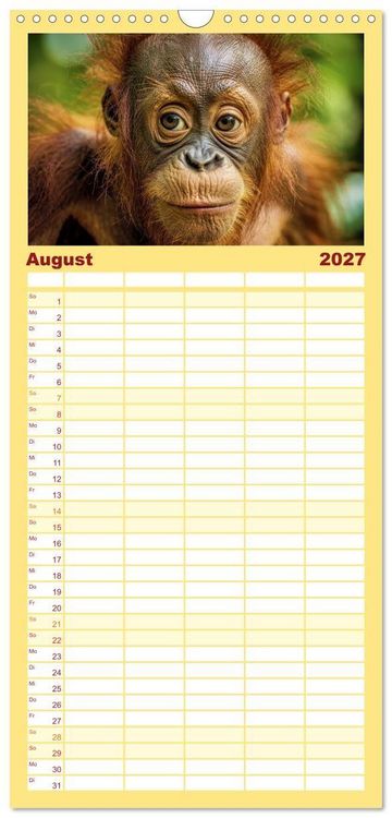 Produktbild: Familienplaner 2027 - Babys der Wildnis mit 5 Spalten (Wandkalender, 21 x 45 cm) CALVENDO