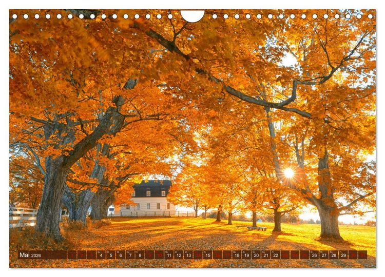 Produktbild: Neu England, Indian Summer (Wandkalender 2026 DIN A4 quer), CALVENDO Monatskalender