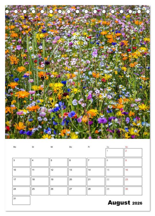 Produktbild: Farben der Natur (Tischkalender 2026 DIN A5 hoch), CALVENDO Monatskalender