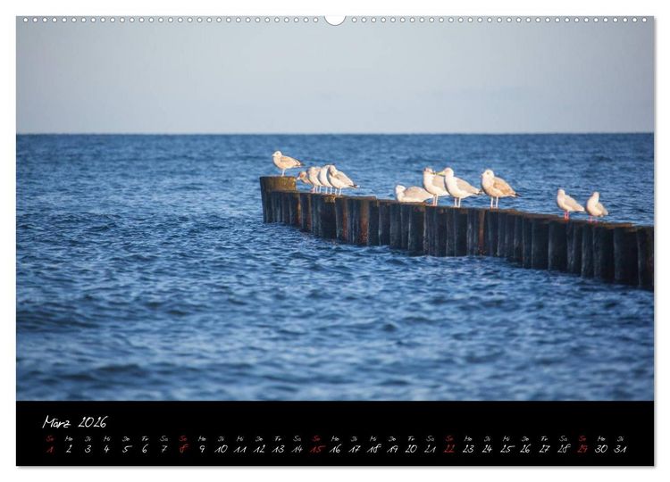 Produktbild: R&uuml;gen-Impressionen (hochwertiger Premium Wandkalender 2026 DIN A2 quer), Kunstdruck in Hochglanz