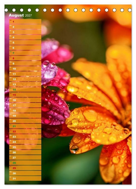 Produktbild: Bunte Augenblicke (Tischkalender 2027 DIN A5 hoch), CALVENDO Monatskalender