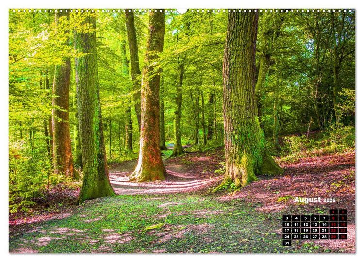 Produktbild: Rund um den Sch&ouml;nbuch (Wandkalender 2026 DIN A2 quer), CALVENDO Monatskalender