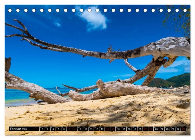 Produktbild: Trauminseln Seychellen (Tischkalender 2026 DIN A5 quer), CALVENDO Monatskalender