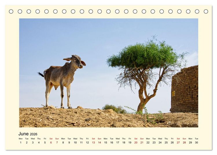 Produktbild: Great impressions of INDIA featuring awesome pictures (Desk Calendar 2026 DIN A5 landscape), CALVENDO 12 Month DeskCalendar