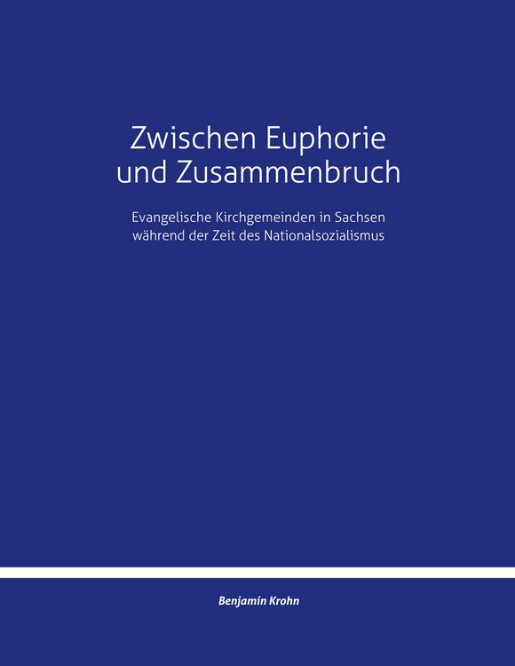 Produktbild: Zwischen Euphorie und Zusammenbruch