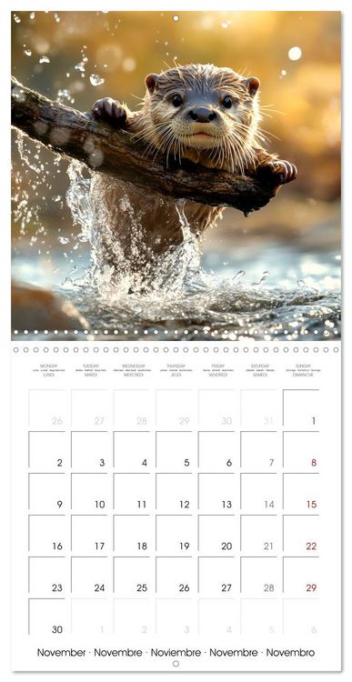 Produktbild: Cute Otter Moments (Wall Calendar 2026 12 &times; 12 Inch) CALVENDO 12 Month Wall Calendar