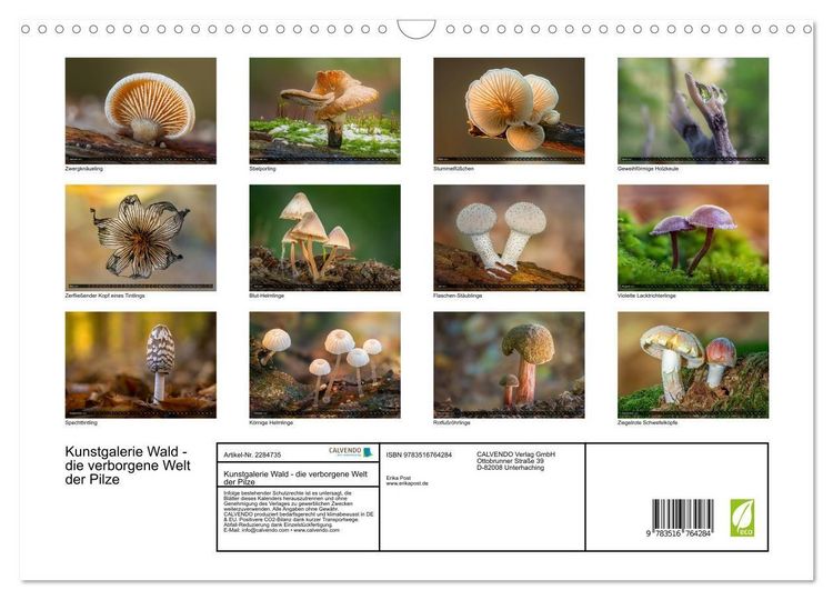 Produktbild: Kunstgalerie Wald - die verborgene Welt der Pilze (Wandkalender 2027 DIN A3 quer), CALVENDO Monatskalender