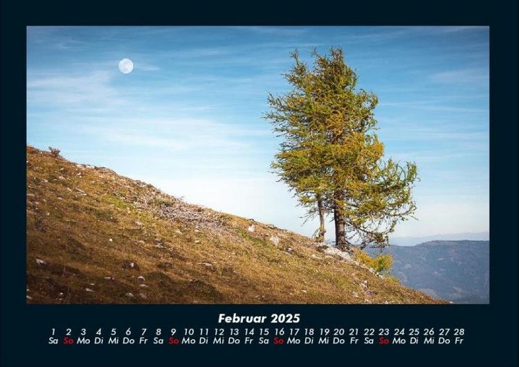 Produktbild: B&auml;ume 2025 Fotokalender DIN A4