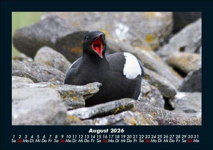 Produktbild: Welt der V&ouml;gel 2026 Fotokalender DIN A5