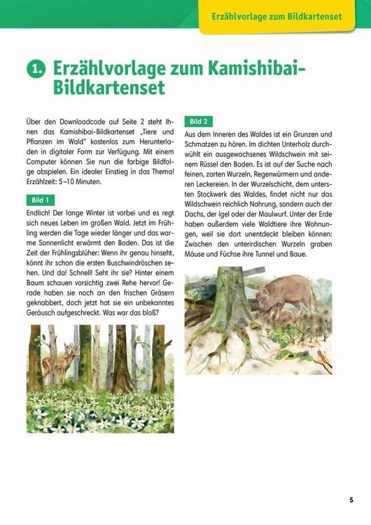 Produktbild: Arbeitsmaterial Grundschule. Sachunterricht. Tiere und Pflanzen im Wald