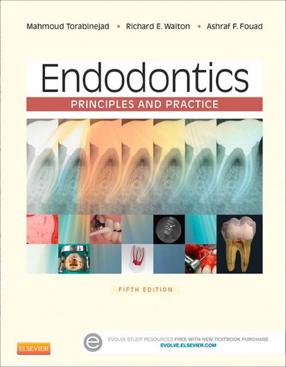 Produktbild: Endodontics - E-Book