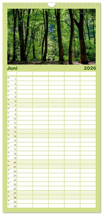 Produktbild: Familienplaner 2026 - Wege des einfachen Gl&uuml;cks - Spazierg&auml;nge im Wald mit 5 Spalten (Wandkalender, 21 x 45 cm) CALVENDO