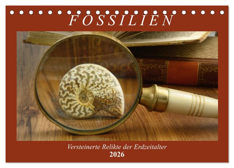 Produktbild: Fossilien - Versteinerte Relikte der Erdzeitalter (Tischkalender 2026 DIN A5 quer), CALVENDO Monatskalender