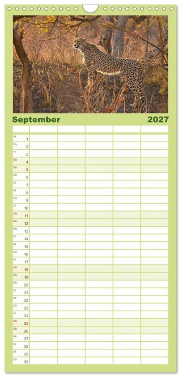 Produktbild: Familienplaner 2027 - Sambias gro&szlig;artige Tierwelt mit 5 Spalten (Wandkalender, 21 x 45 cm) CALVENDO