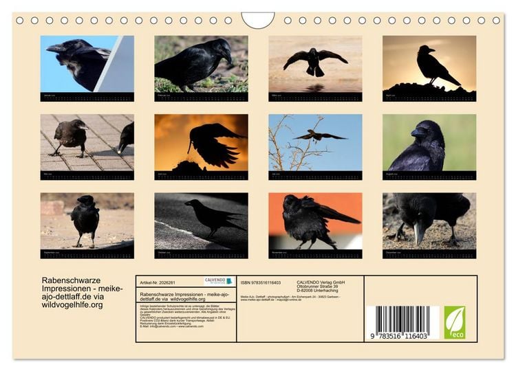 Produktbild: Rabenschwarze Impressionen - meike-ajo-dettlaff.de via wildvogelhlfe.org (Wandkalender 2026 DIN A4 quer), CALVENDO Monatskalender