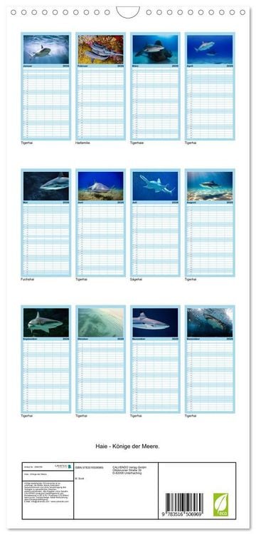 Produktbild: Familienplaner 2026 - Haie - K&ouml;nige der Meere. mit 5 Spalten (Wandkalender, 21 x 45 cm) CALVENDO