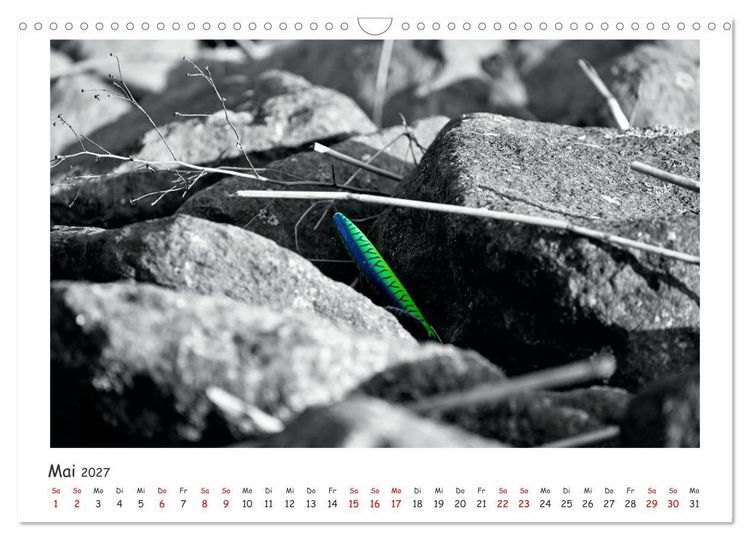 Produktbild: Gestrandet -Treibgut- (Wandkalender 2027 DIN A3 quer), CALVENDO Monatskalender