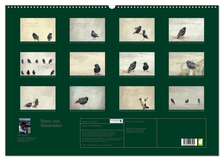 Produktbild: Stare und Weisheiten (Wandkalender 2026 DIN A2 quer), CALVENDO Monatskalender