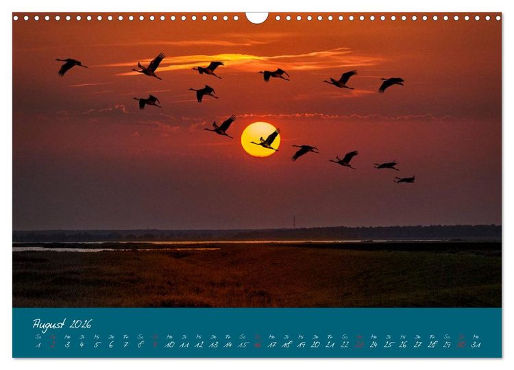 Produktbild: Blick auf die Halbinsel Fischland, Dar&szlig; und Zingst (Wandkalender 2026 DIN A3 quer), CALVENDO Monatskalender