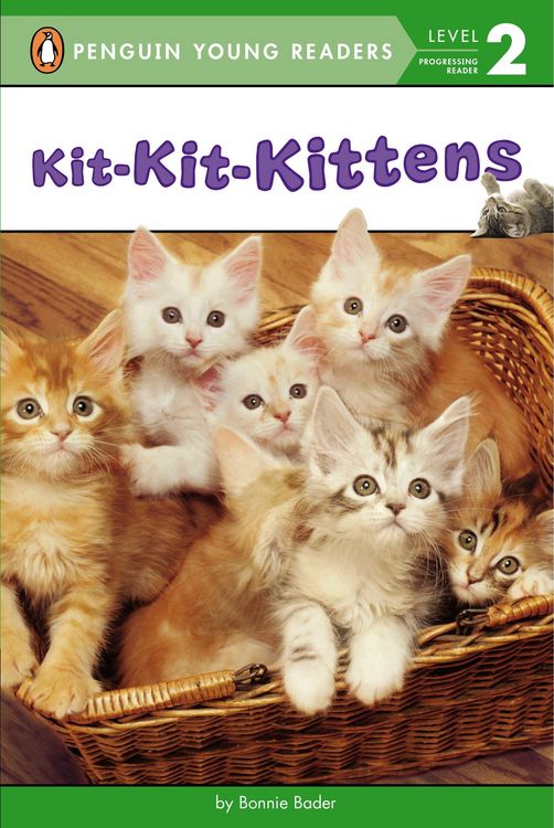 Produktbild: Kit-Kit-Kittens