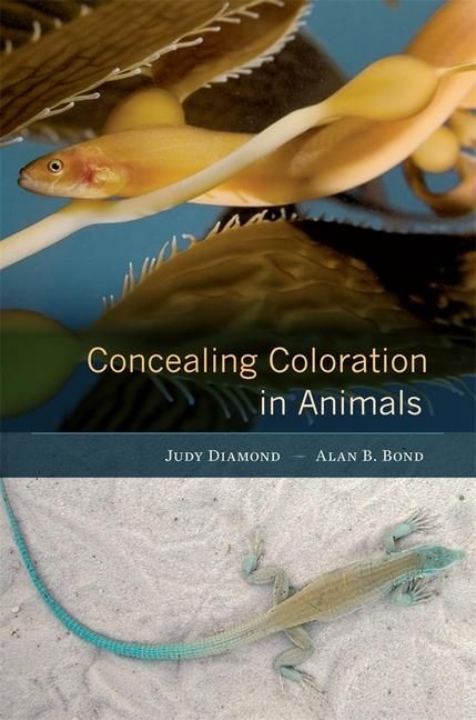 Produktbild: Concealing Coloration in Animals